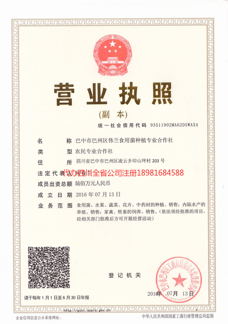 滨州滨州伟兰食用菌种植专业合作社